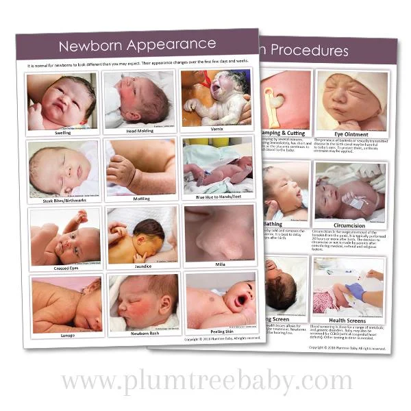 PI-tear-pad-newborn-beginnings.jpg