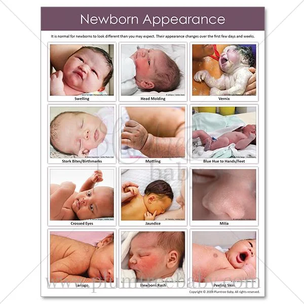 PI-tear-pad-newborn-beginnings-pg1.jpg
