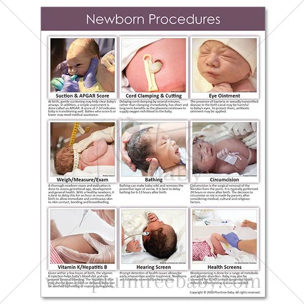 PI-tear-pad-newborn-beginnings-pg2.jpg