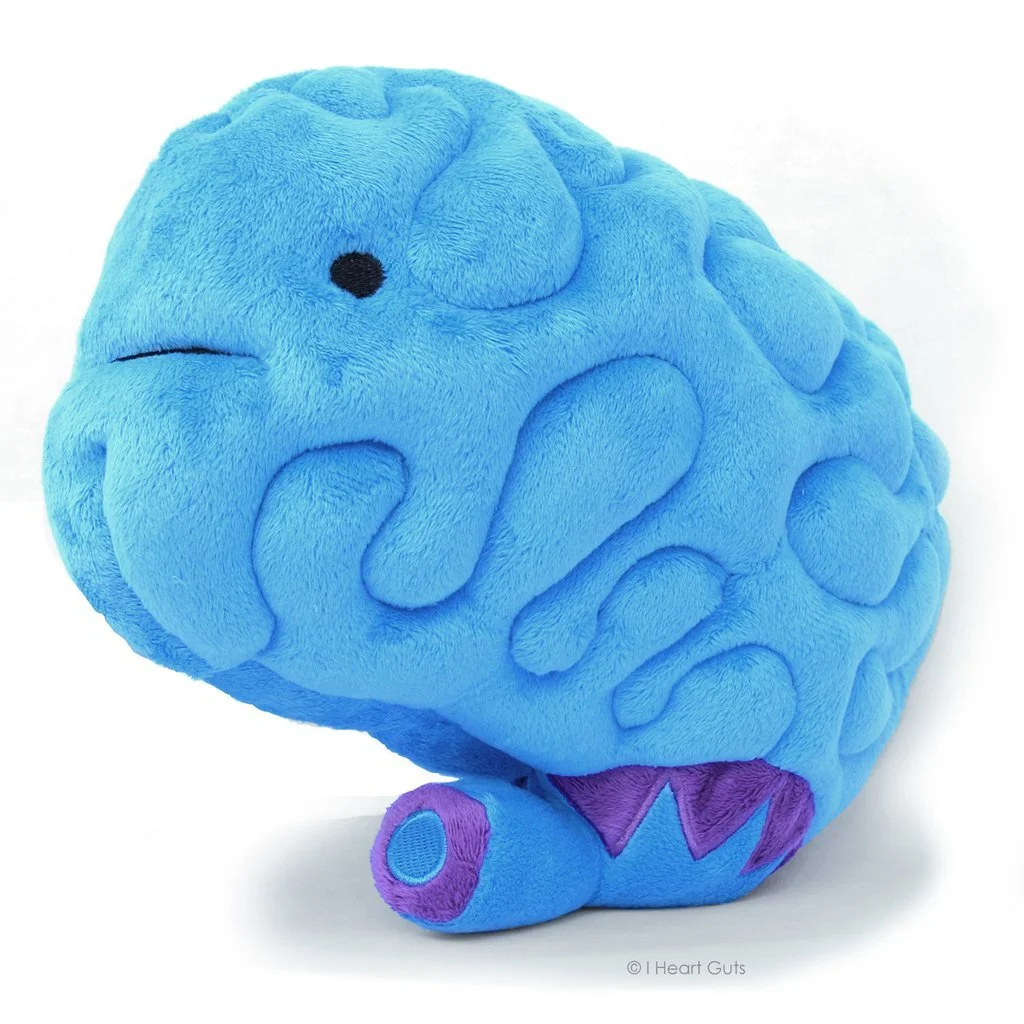 brain1.jpg