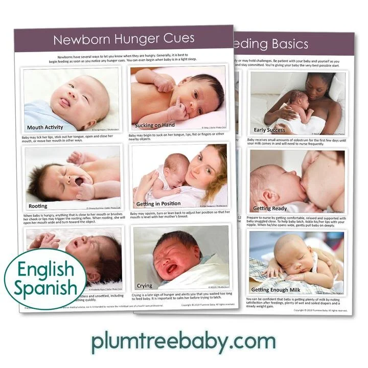 PI_Breastfeeding_Essentials_Handout_720x.jpg