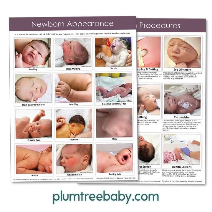 PI_Newborn_Beginnings_Handout_720x.jpg