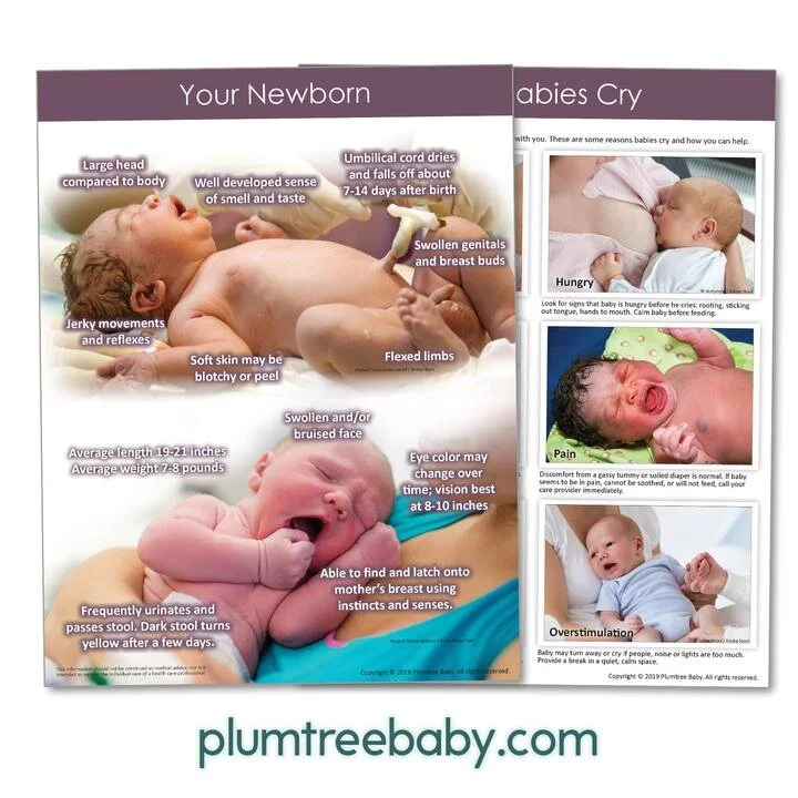 PI_Your_Newborn_Handout_720x.jpg