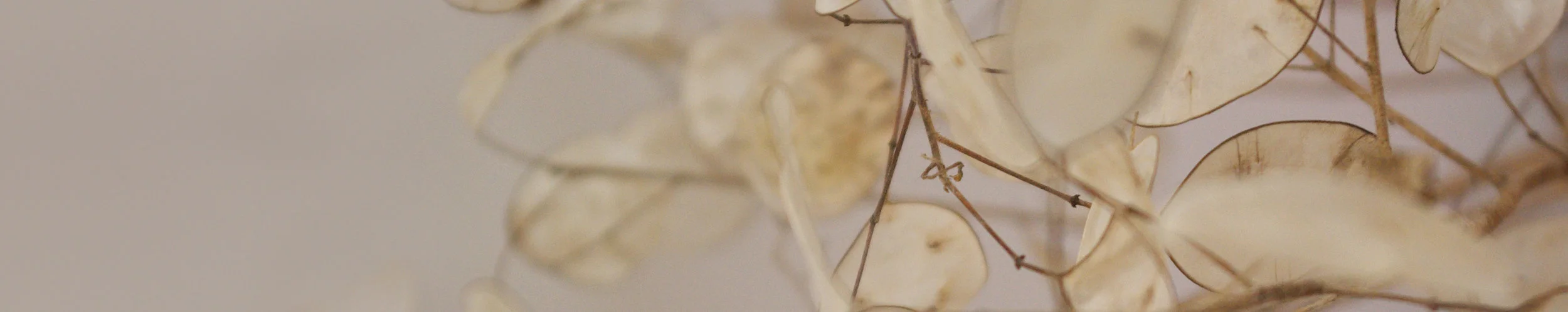 WB_BANNER_8.jpg