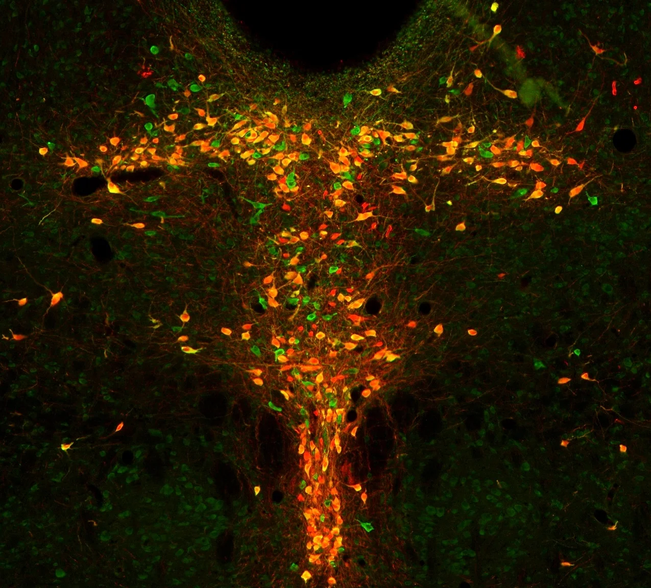 888 wt slide 2 row2 section 8 t2222.jpg