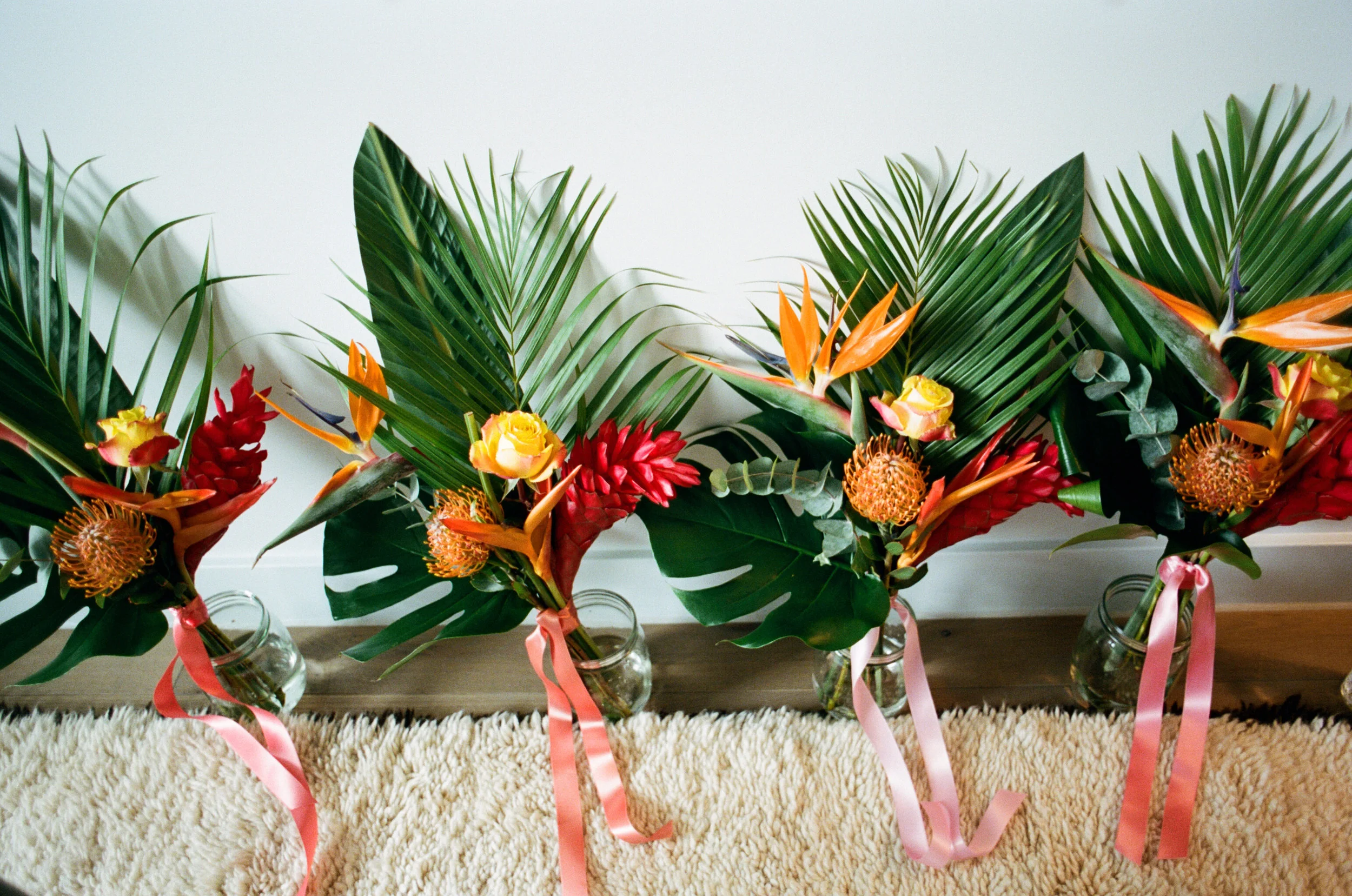   Charlotte and Aly   Photographer -  Naomi Goggin   Venue -  The Conservatory, Horniman Museum, London    