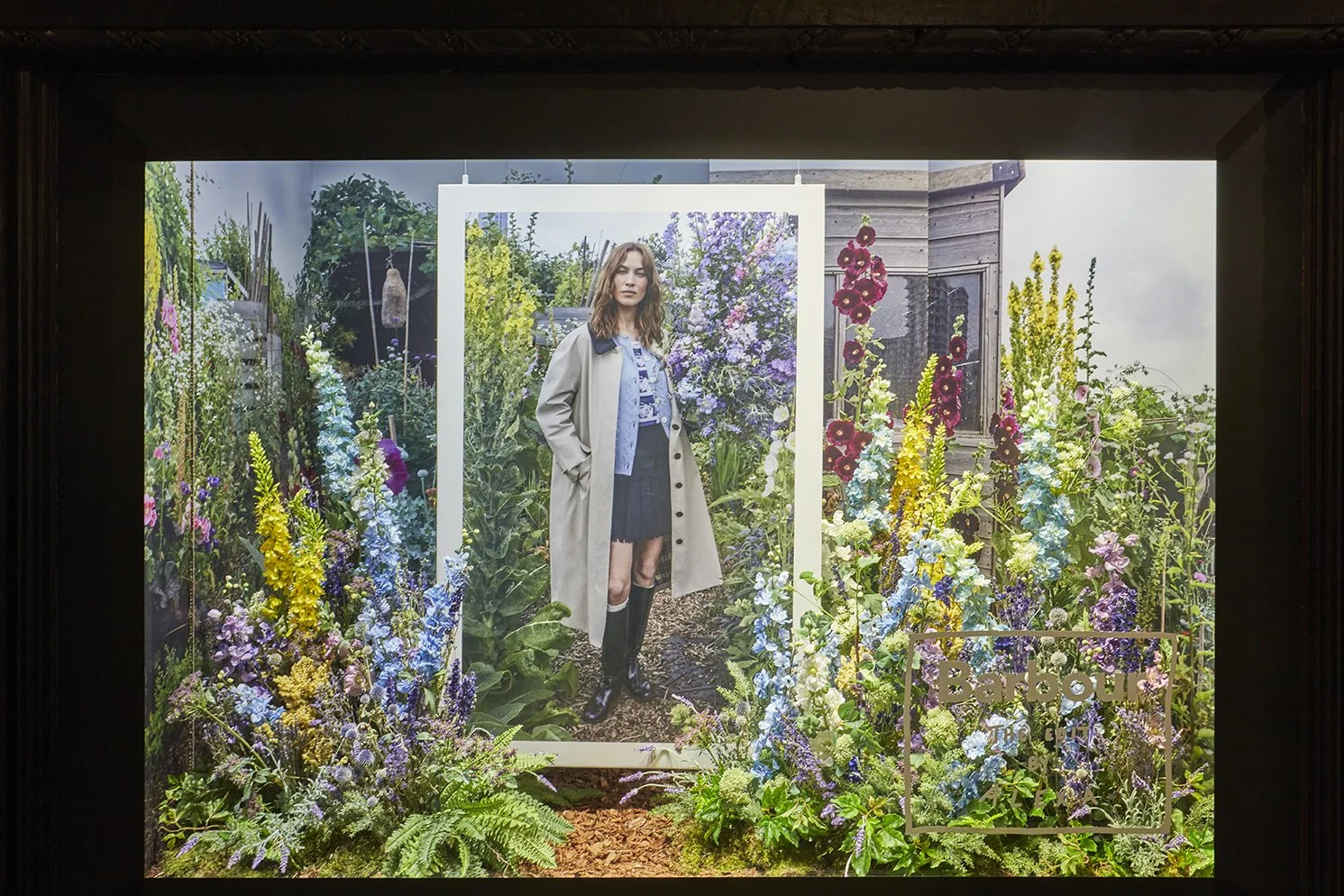  Barbour x Alexa Chung   Lucky Fox   