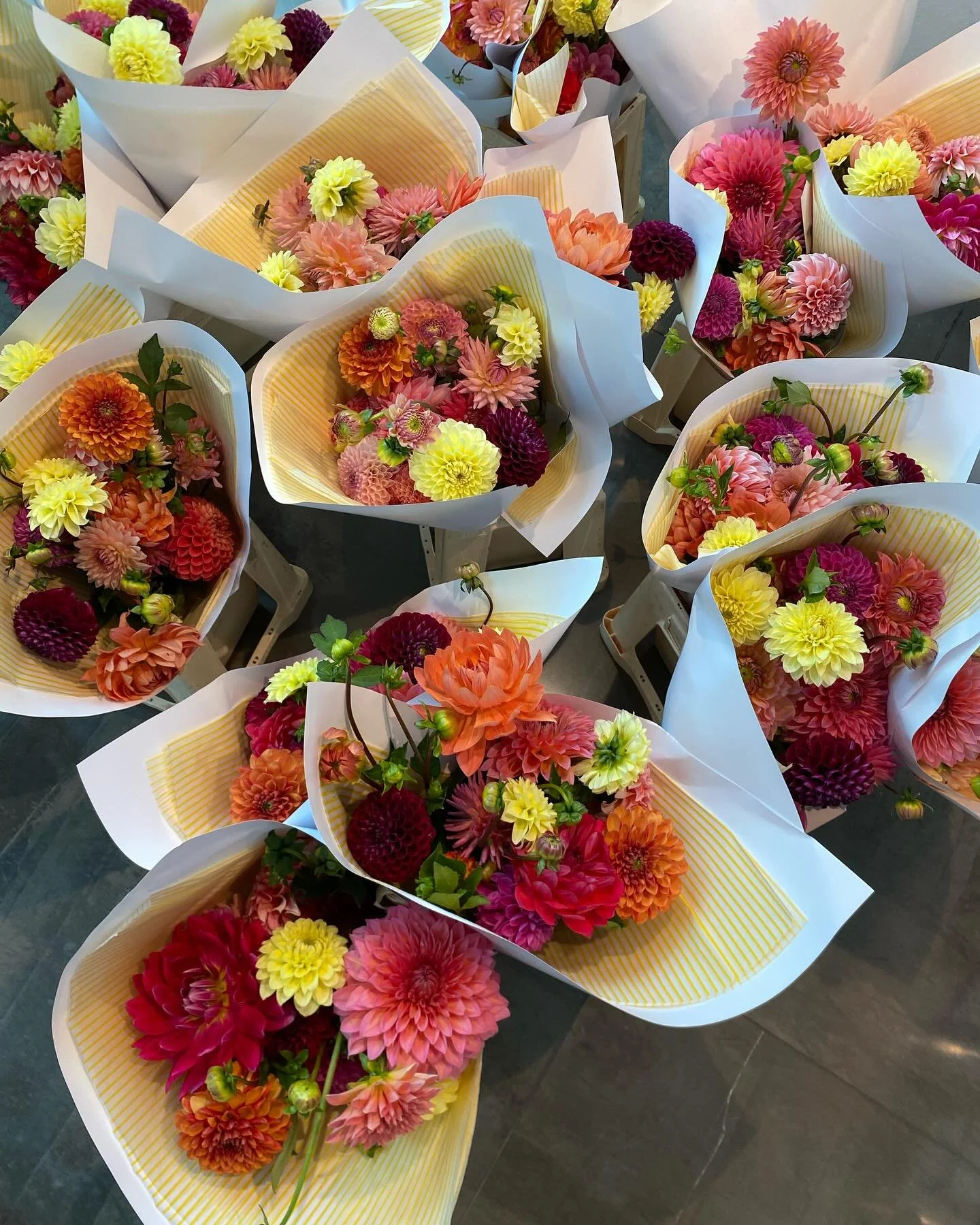 Joyful British Dahlias for @theofficialselfridges #loveblooms #clareloveblooms