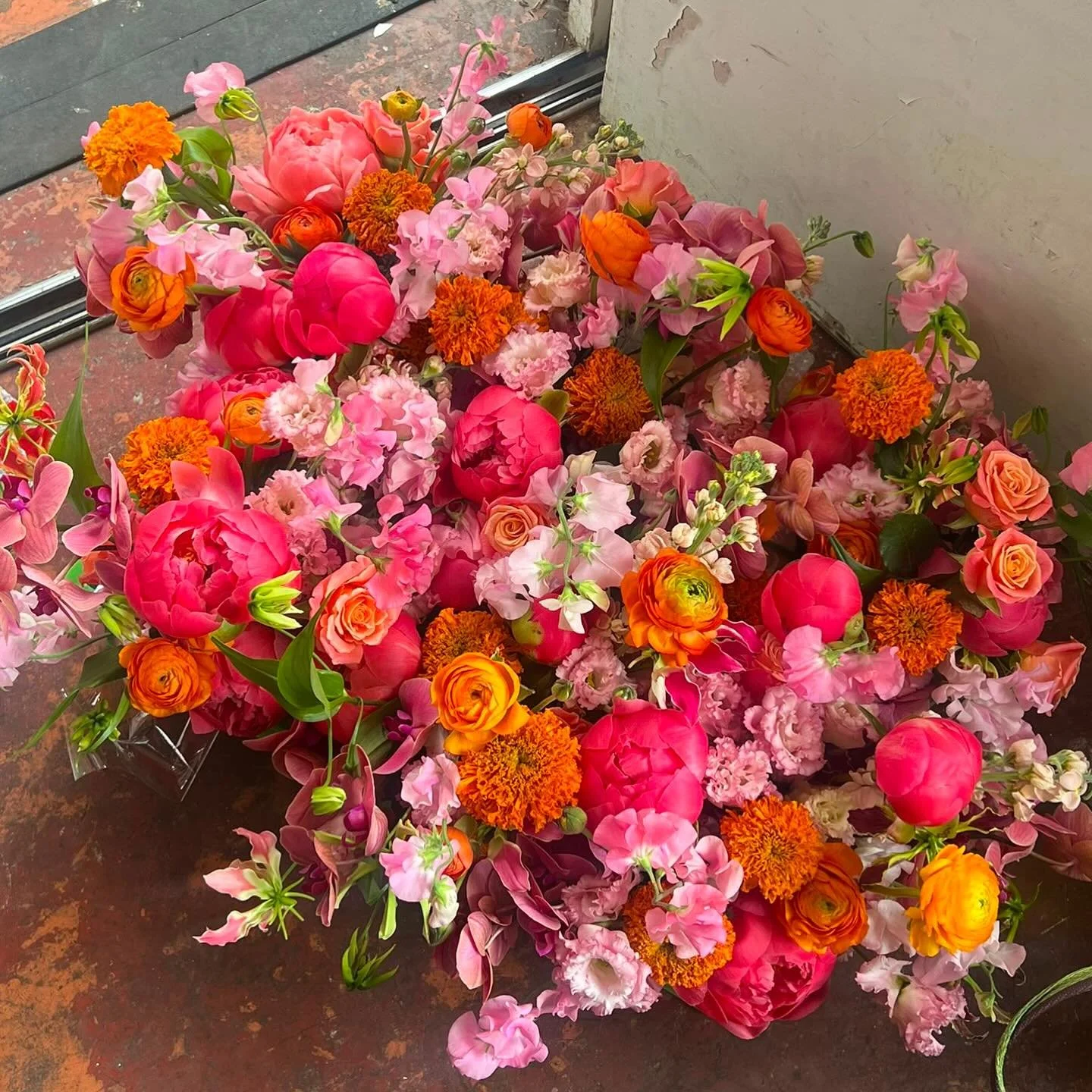 Peonies make everything better. A very short season but always a favourite one when these big blousy blooms are at the market. #clareloveblooms