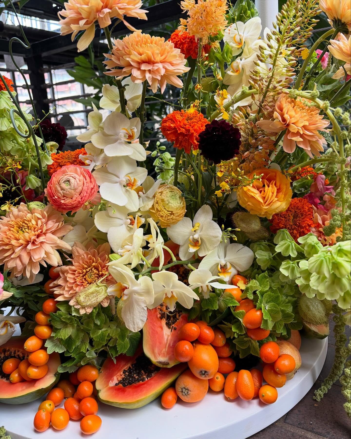 Fruity for the lovely @eightandfour for @morphebrushes_uk at the gorgeous @barbicancentre conservatory yesterday. #clareloveblooms