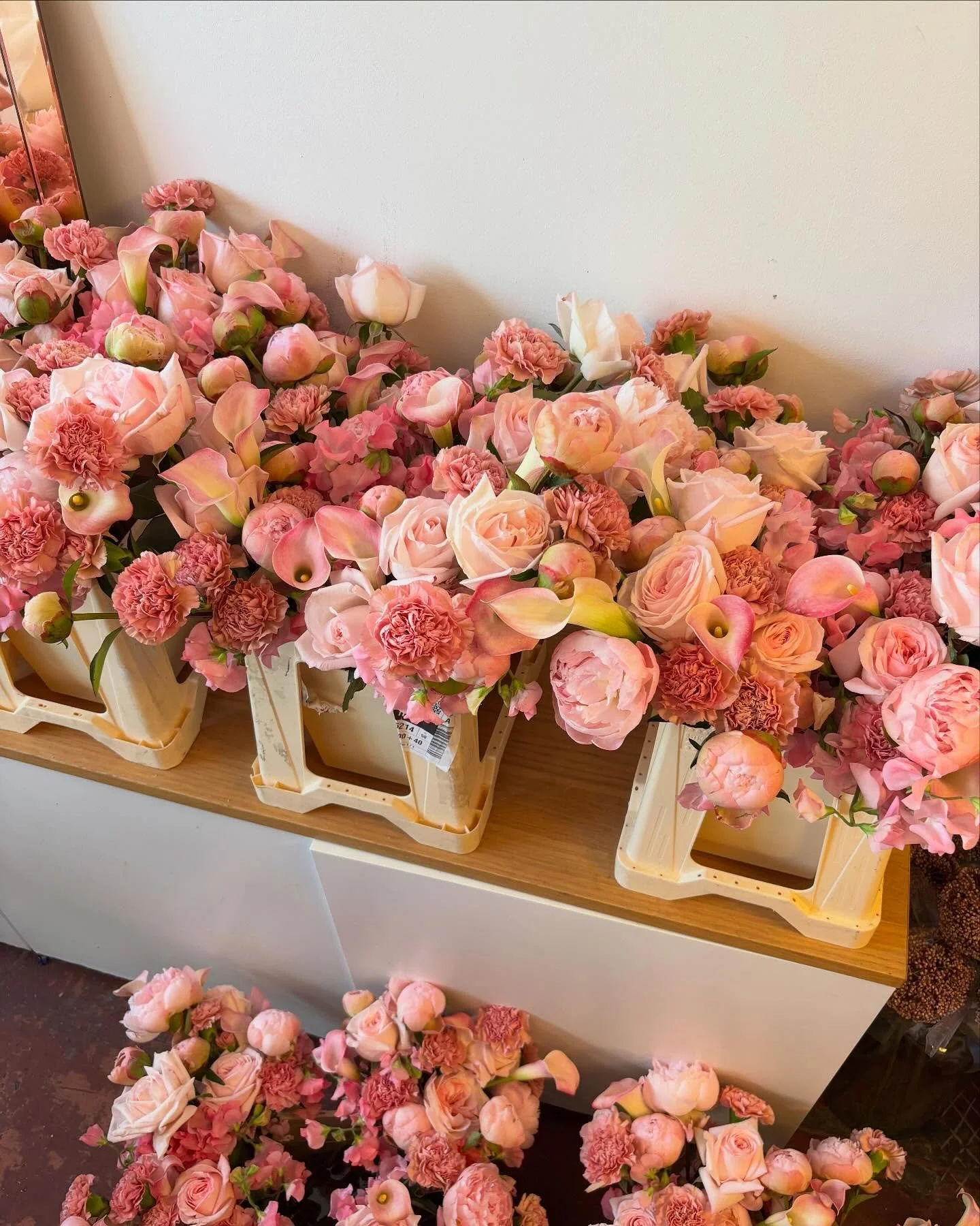 A sea of the prettiest pinks in the studio #clareloveblooms