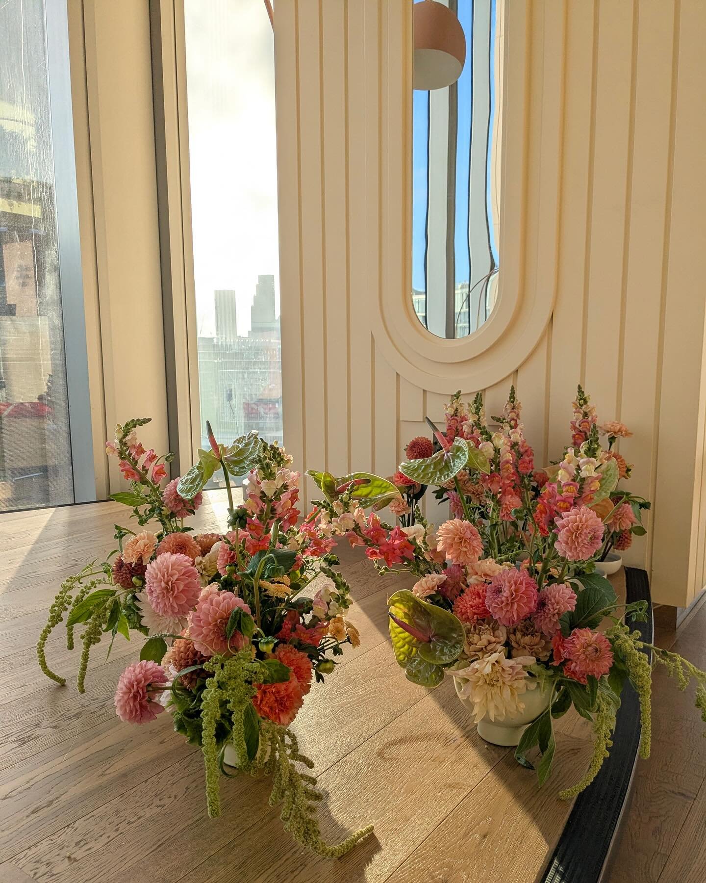 Enjoying the light ✨#clareloveblooms