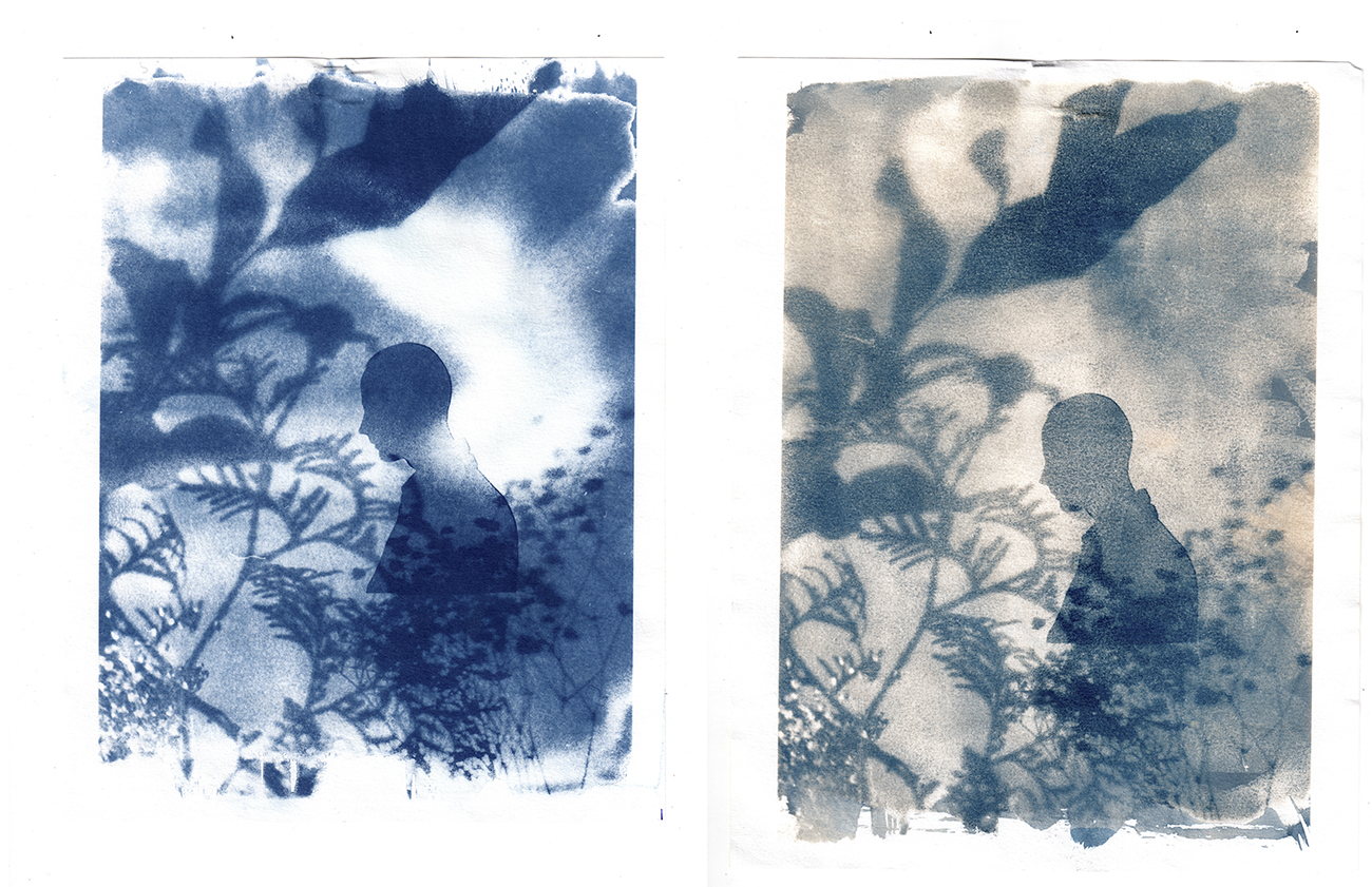 A Cyanotype (left) and bleached Cyanotype (right) (2015)