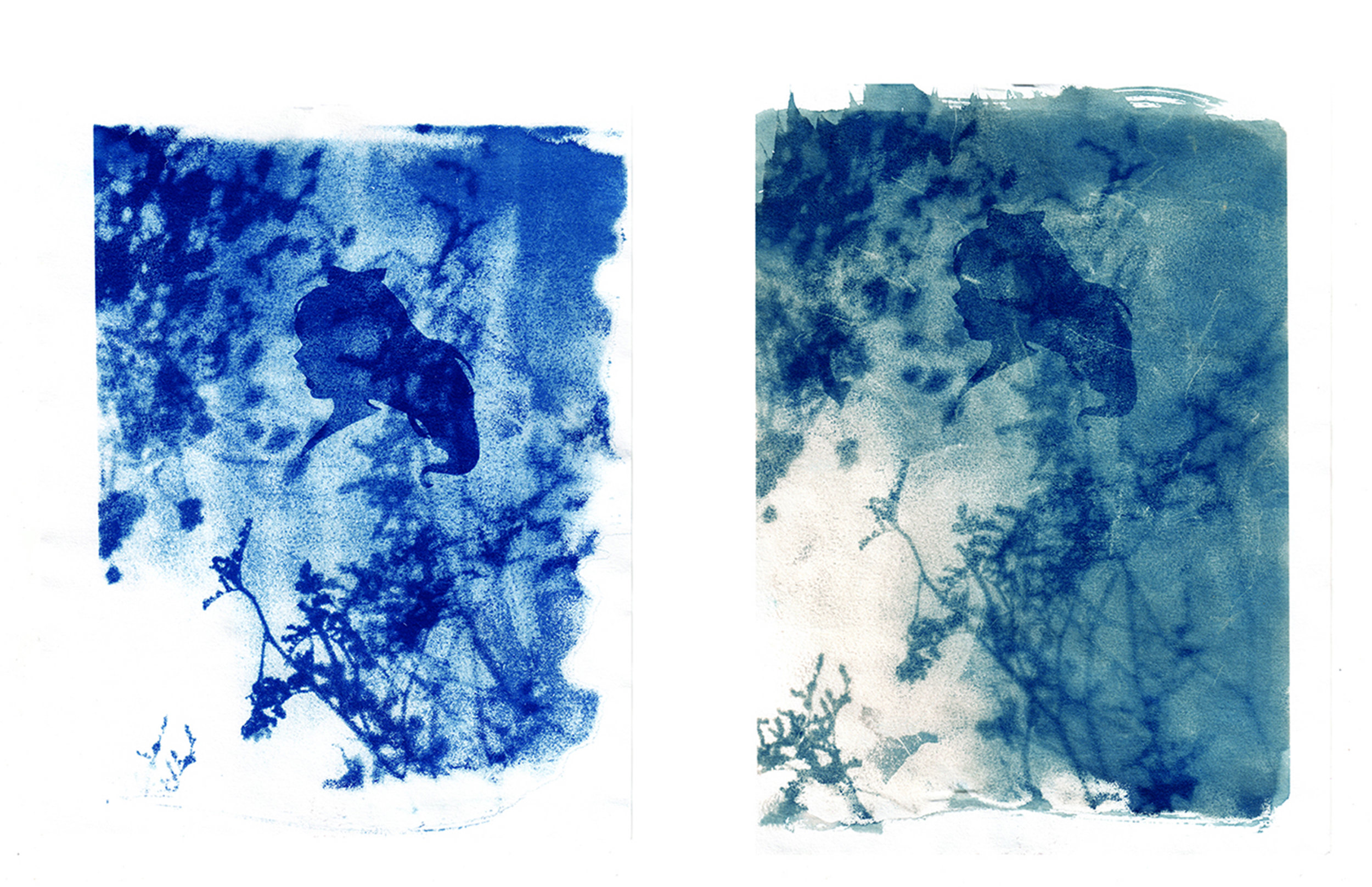 A Cyanotype (left) and bleached Cyanotype (right) (2015)