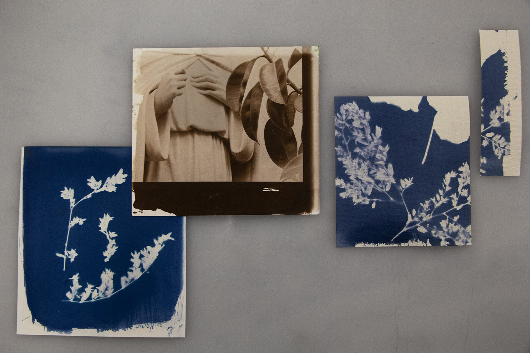 Salted Paper and Cyanotype prints (2019)