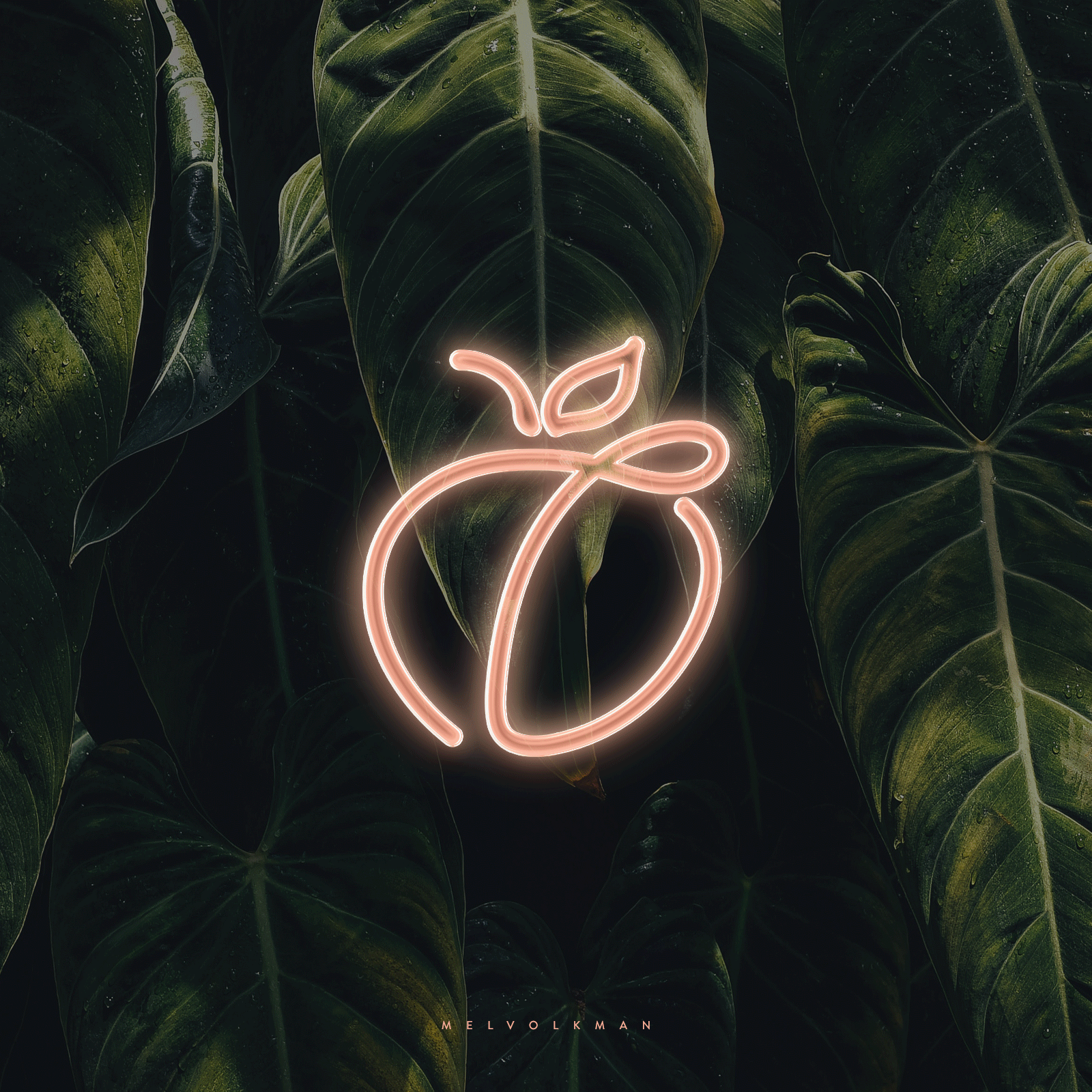 Visual Branding Checklist 