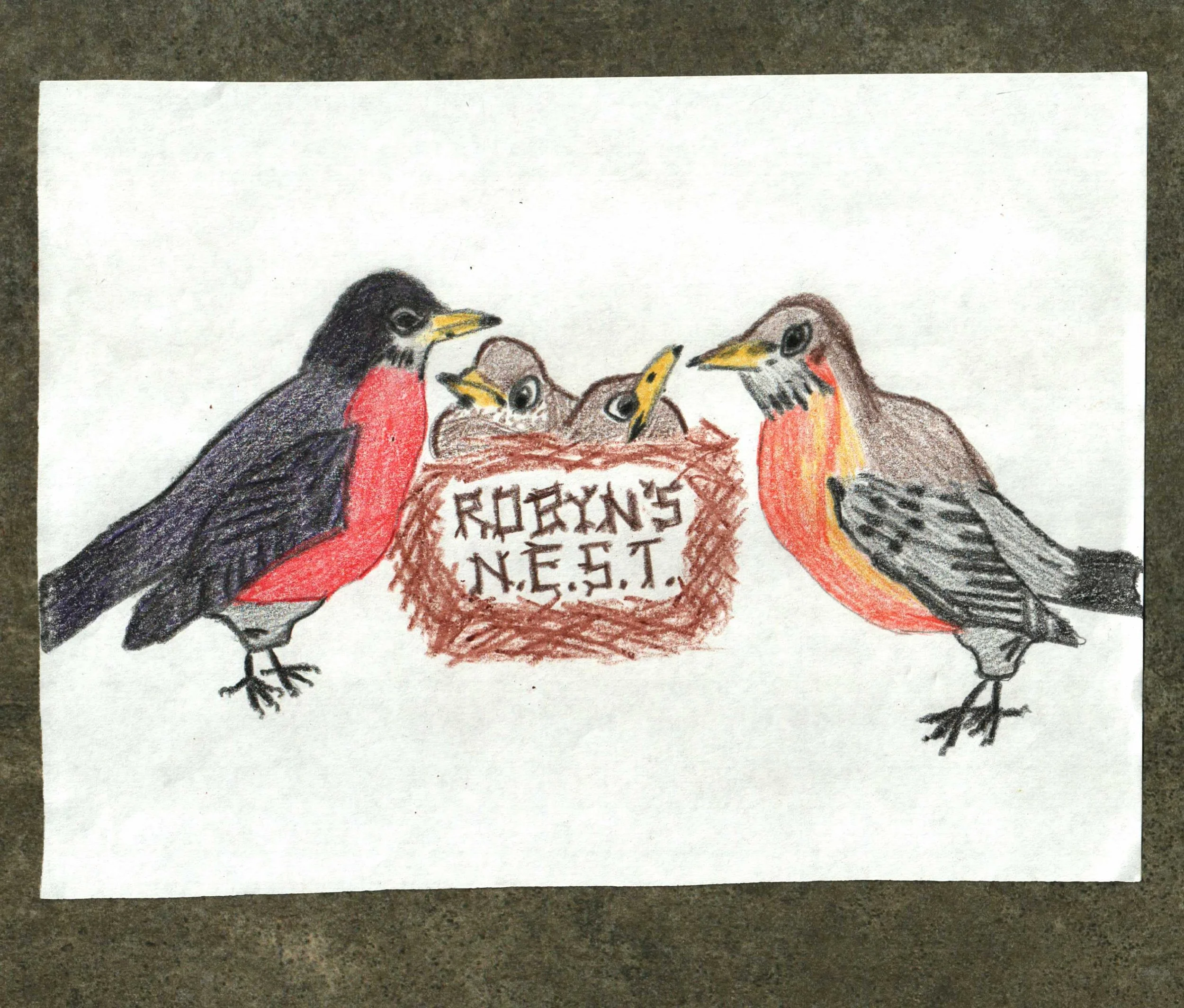 Robyn's NEST artwork.JPG