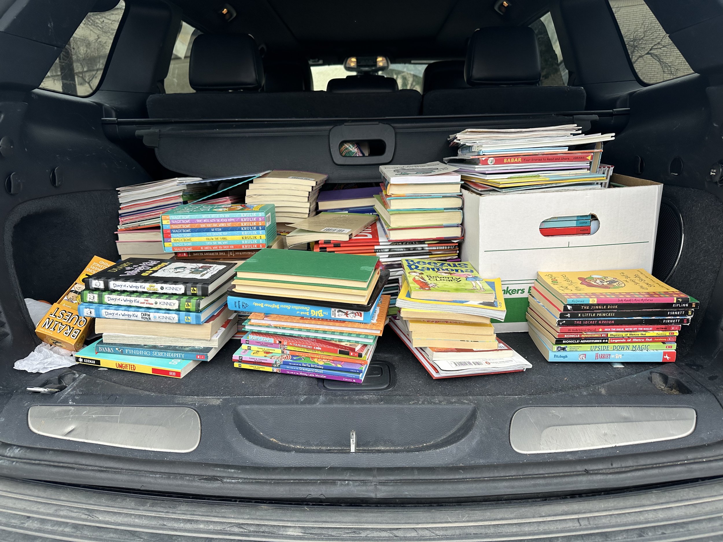 book drive collection.jpeg