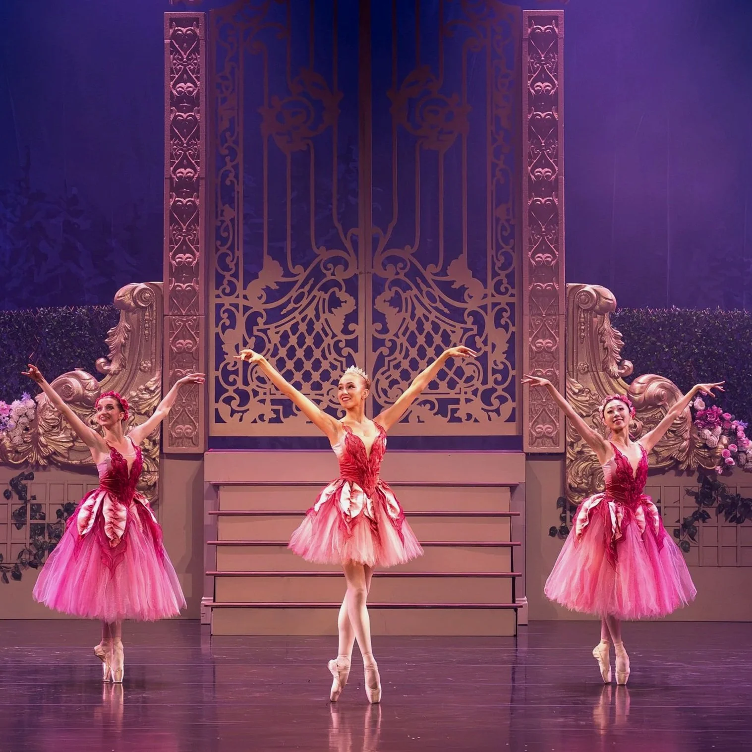 BIG LIVE presents Nutcracker 📷 Braeden O'Connor