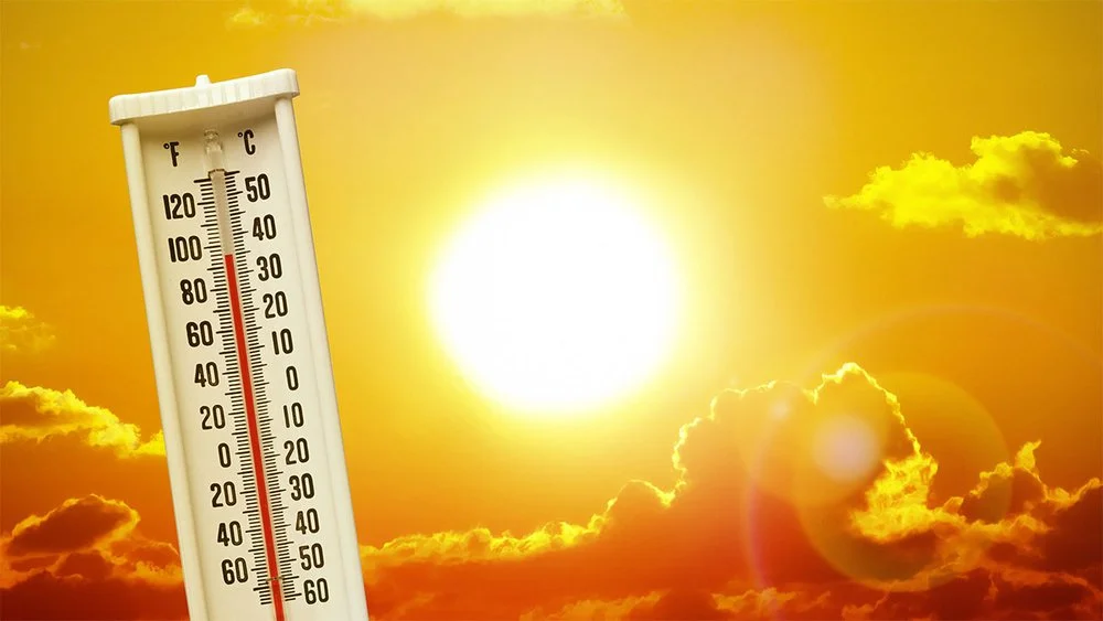 Top 5 Scientifically Unproven Ways to Survive This Heat Wave