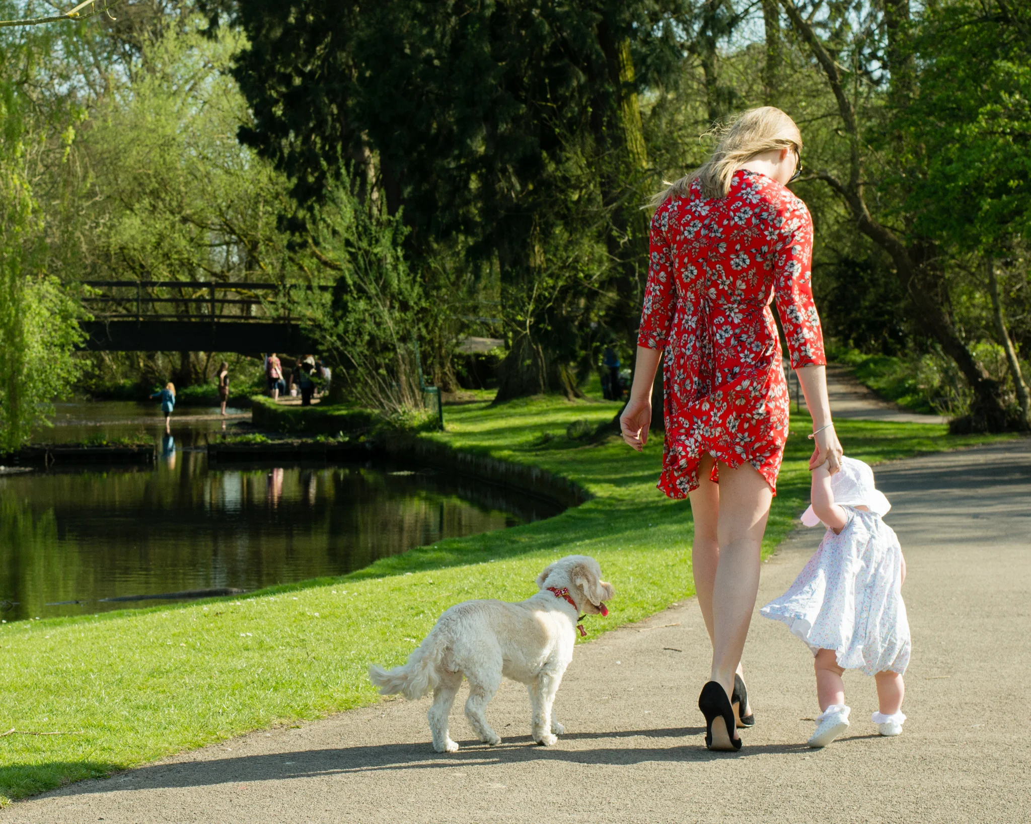 My family in Brueton Park.jpg
