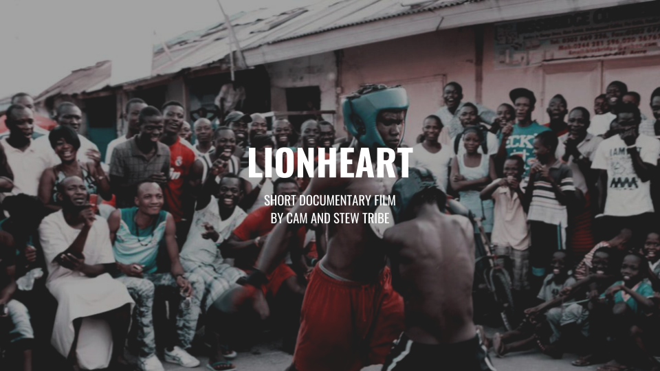 Project - _Lionheart_.png