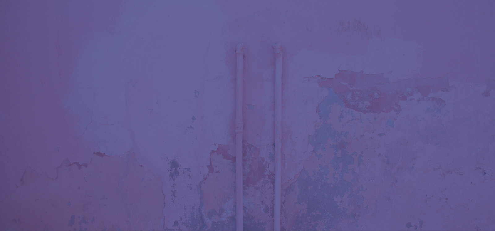 HBA_background.png