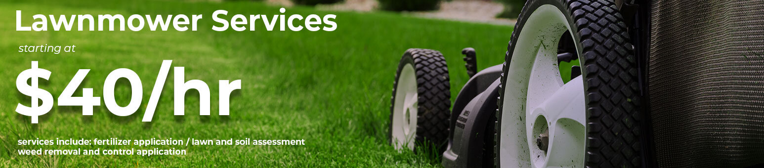 lawnmower-large.jpg