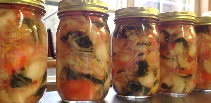 probiotic-ferments.jpg