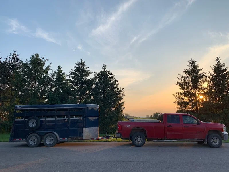 Spring Updates: Pay It Forward and Freezer Restocks