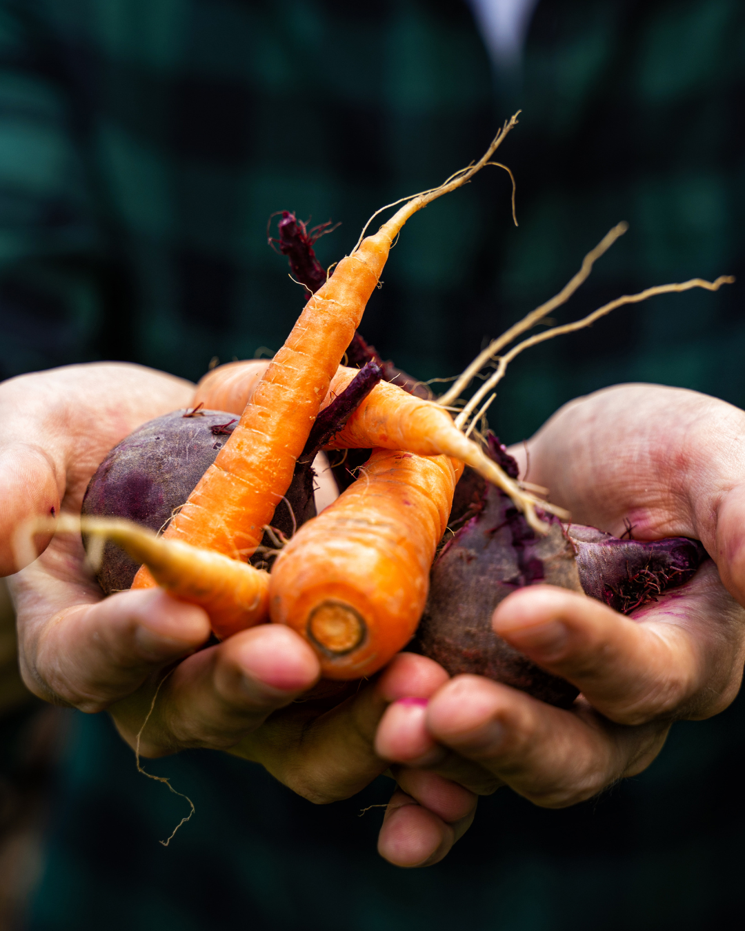 Why Personal Responsibility in Food Choices Matter