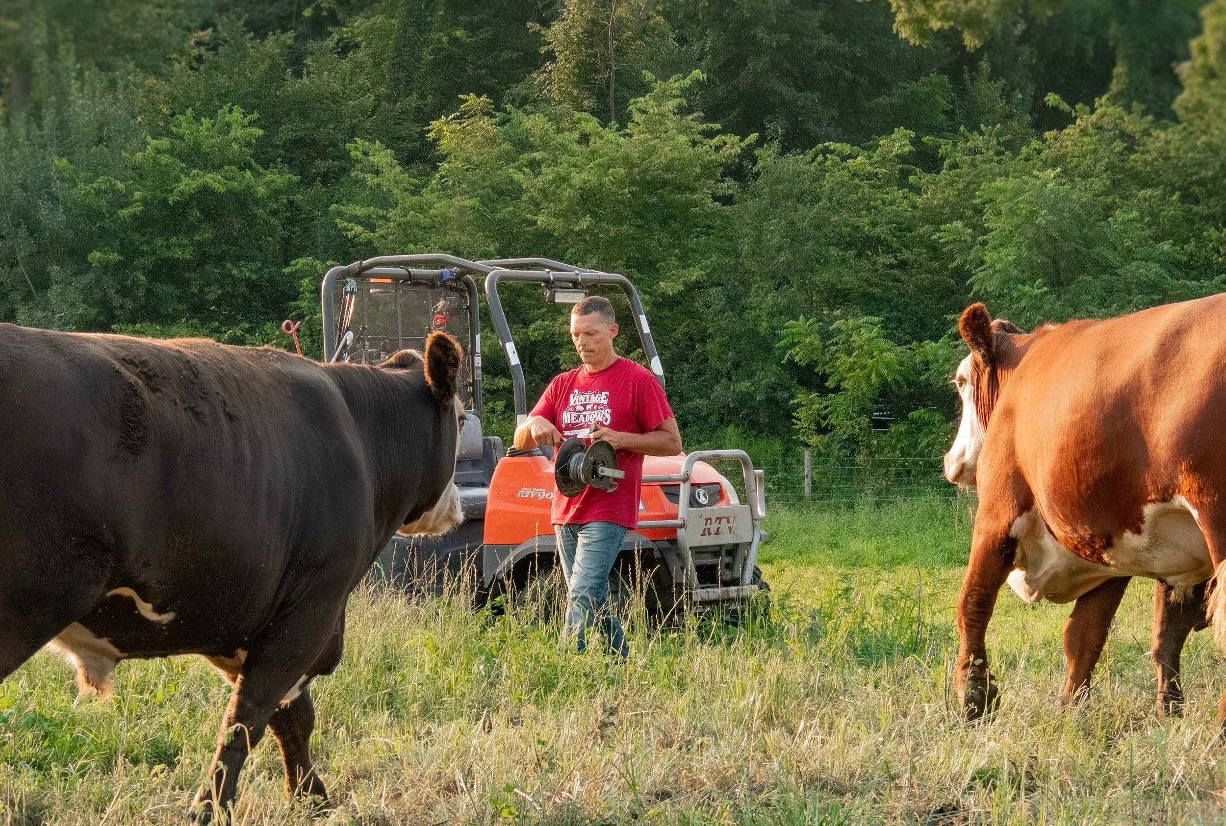 Our Story: Carrying Forward an American Tradition