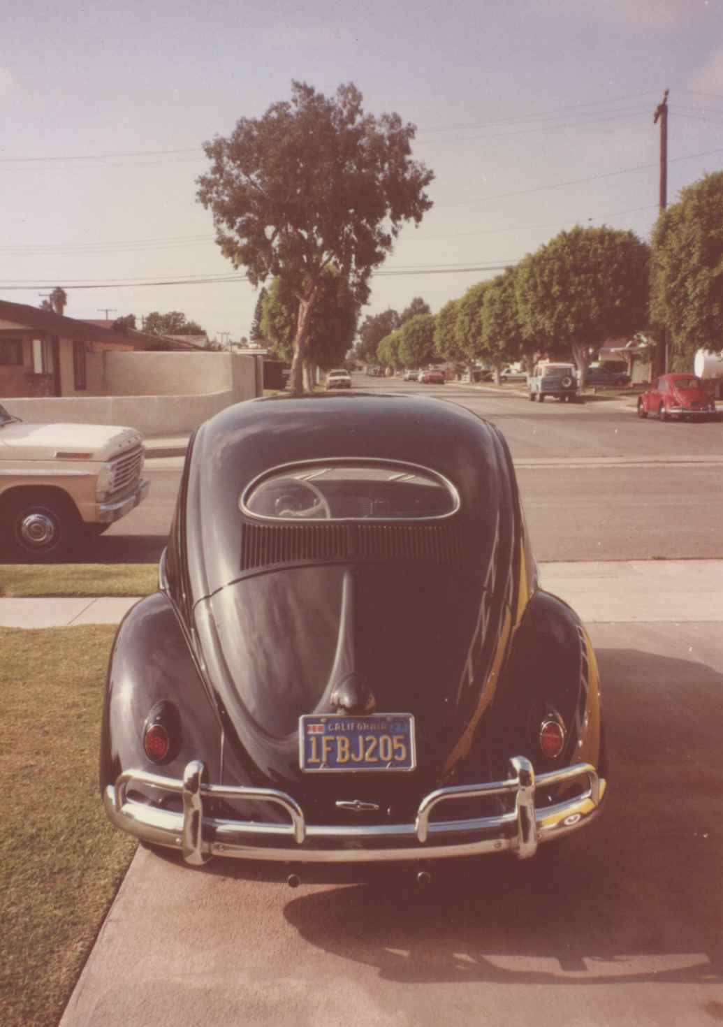 1955 Bug