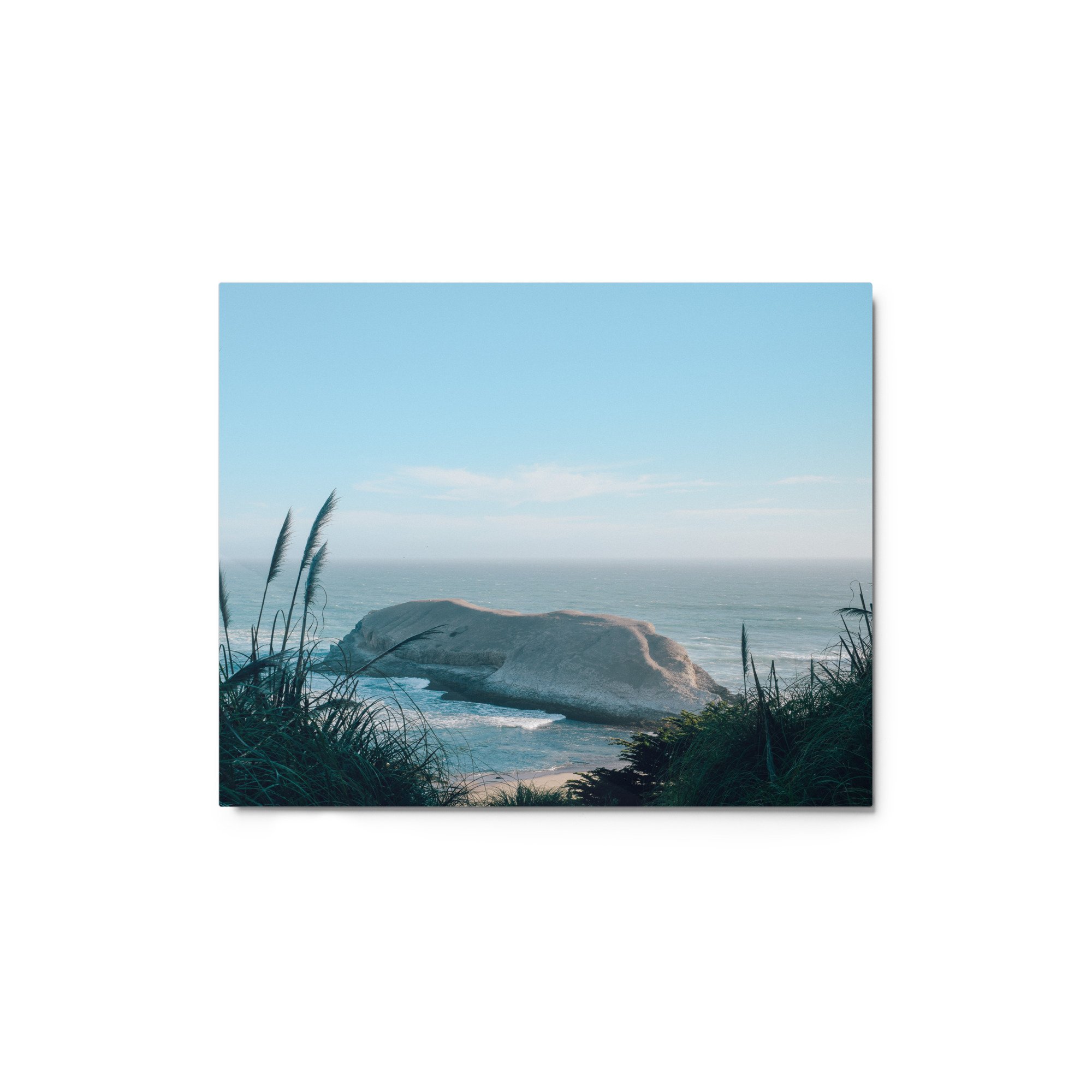 glossy-metal-print-(in)-white-8x10-front-64df816a4fc75.jpg