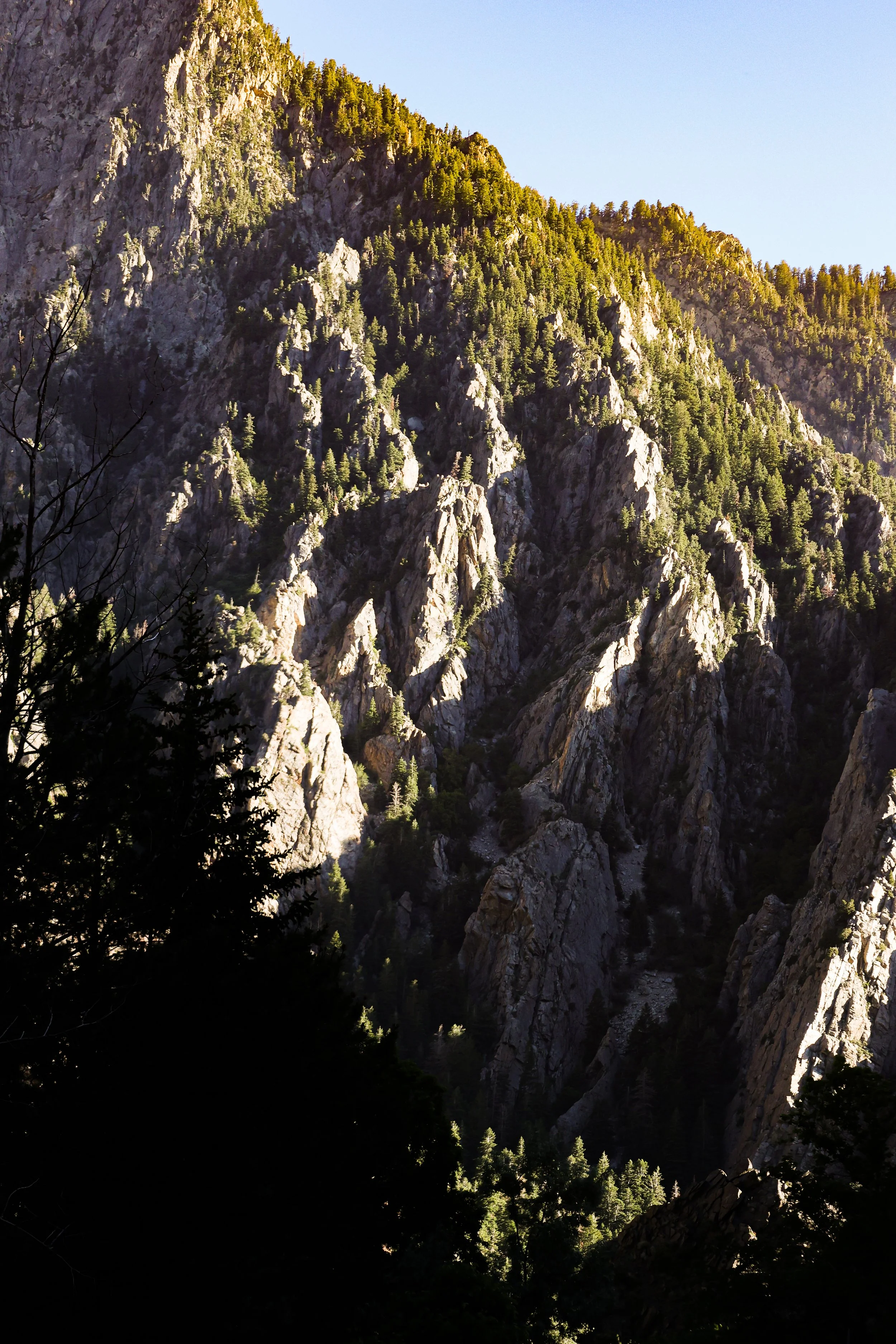 Just Out The Back Door