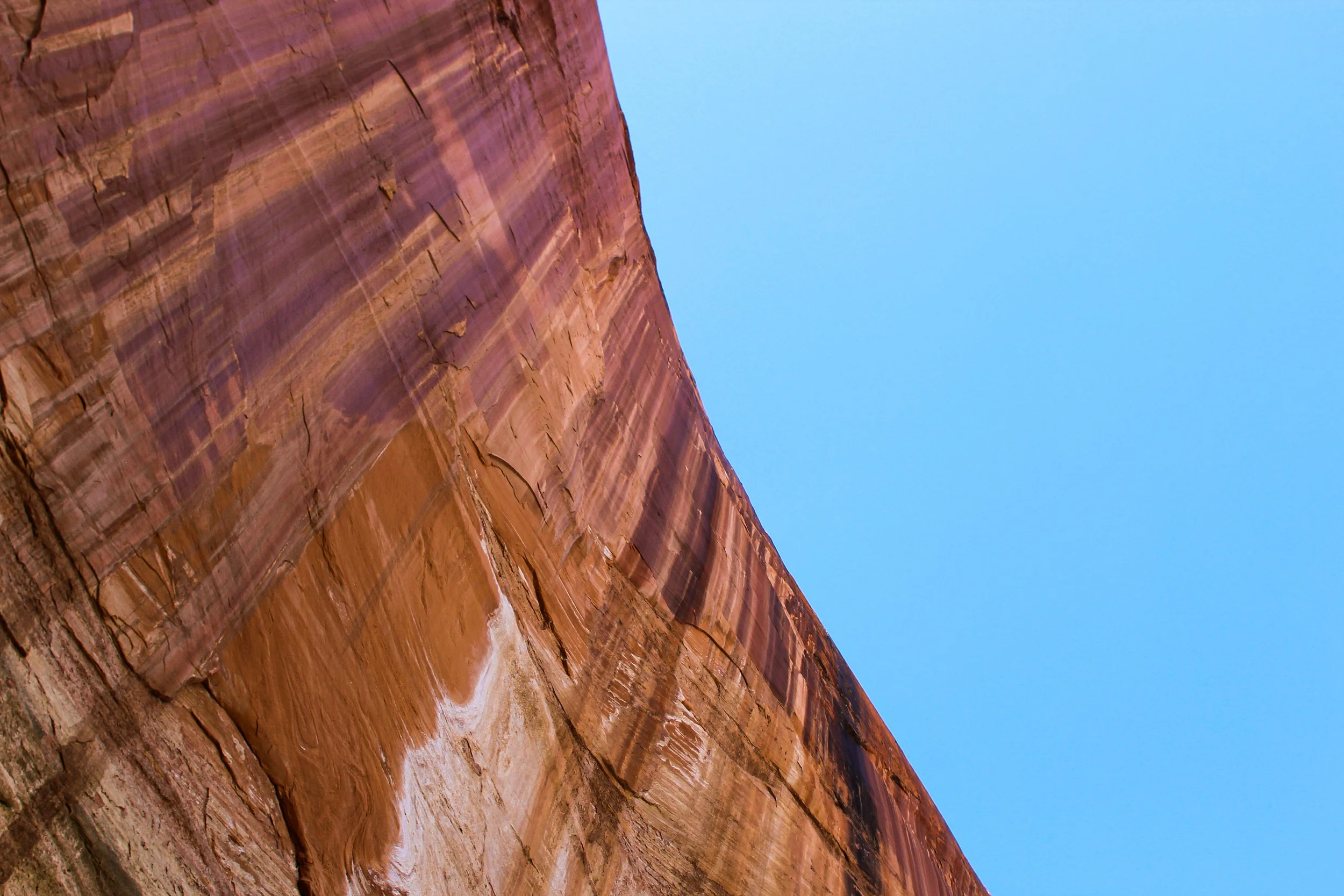 Story of Millions of Years