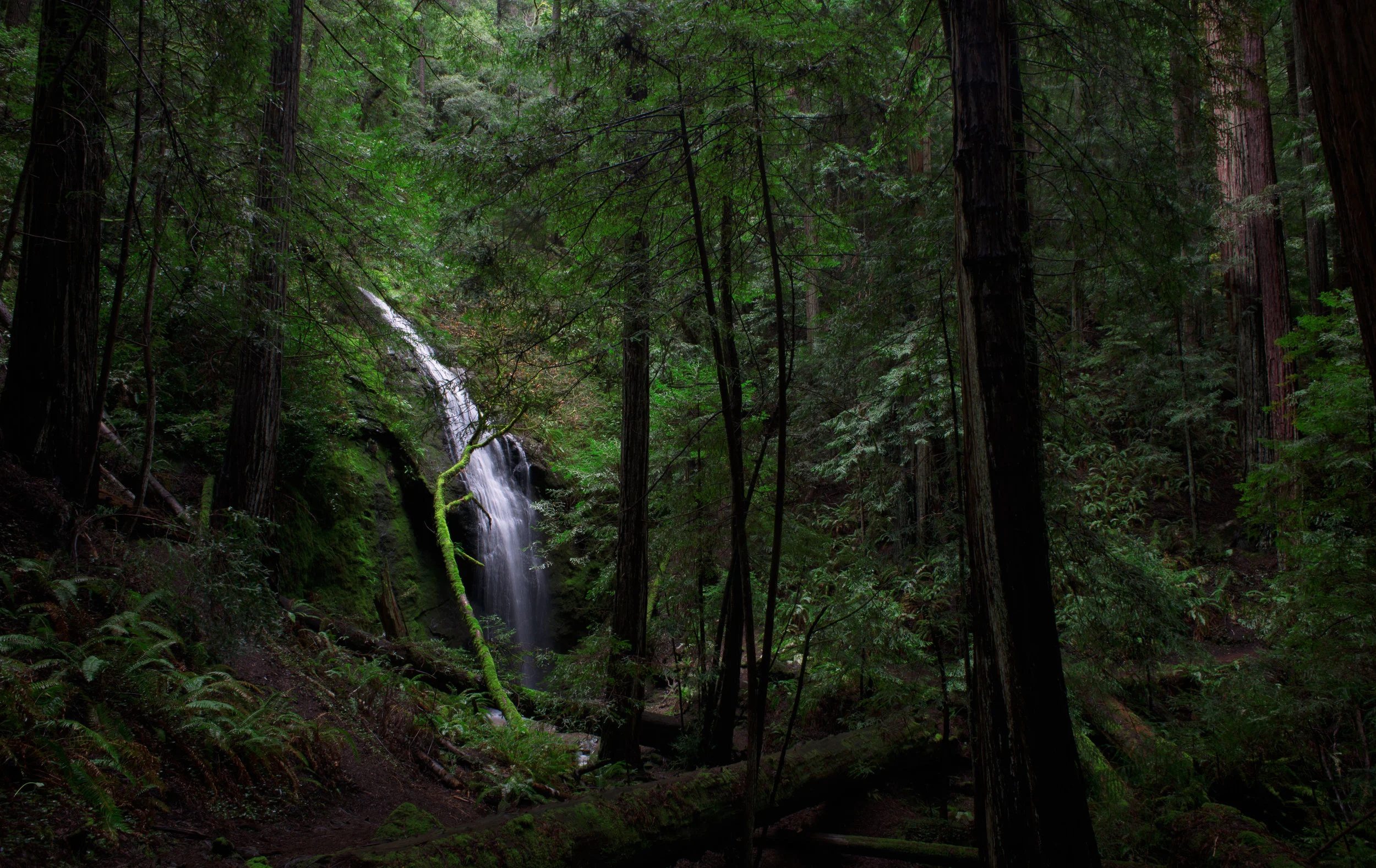 _DSC1247 10.25x16.25 copy 2.jpg