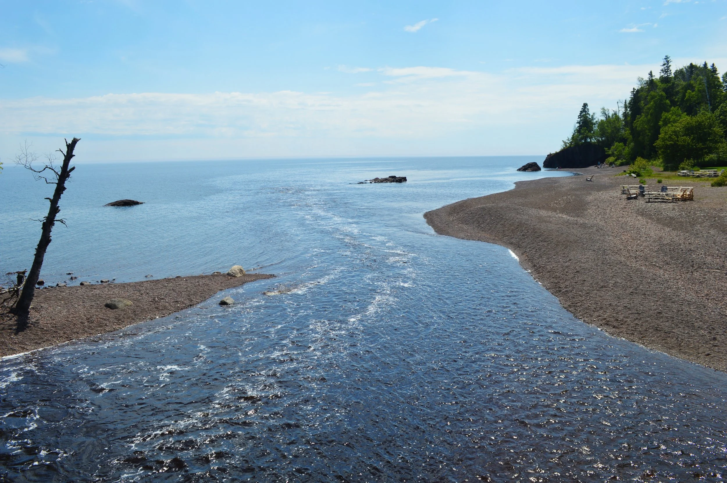 DSC_0209.JPG