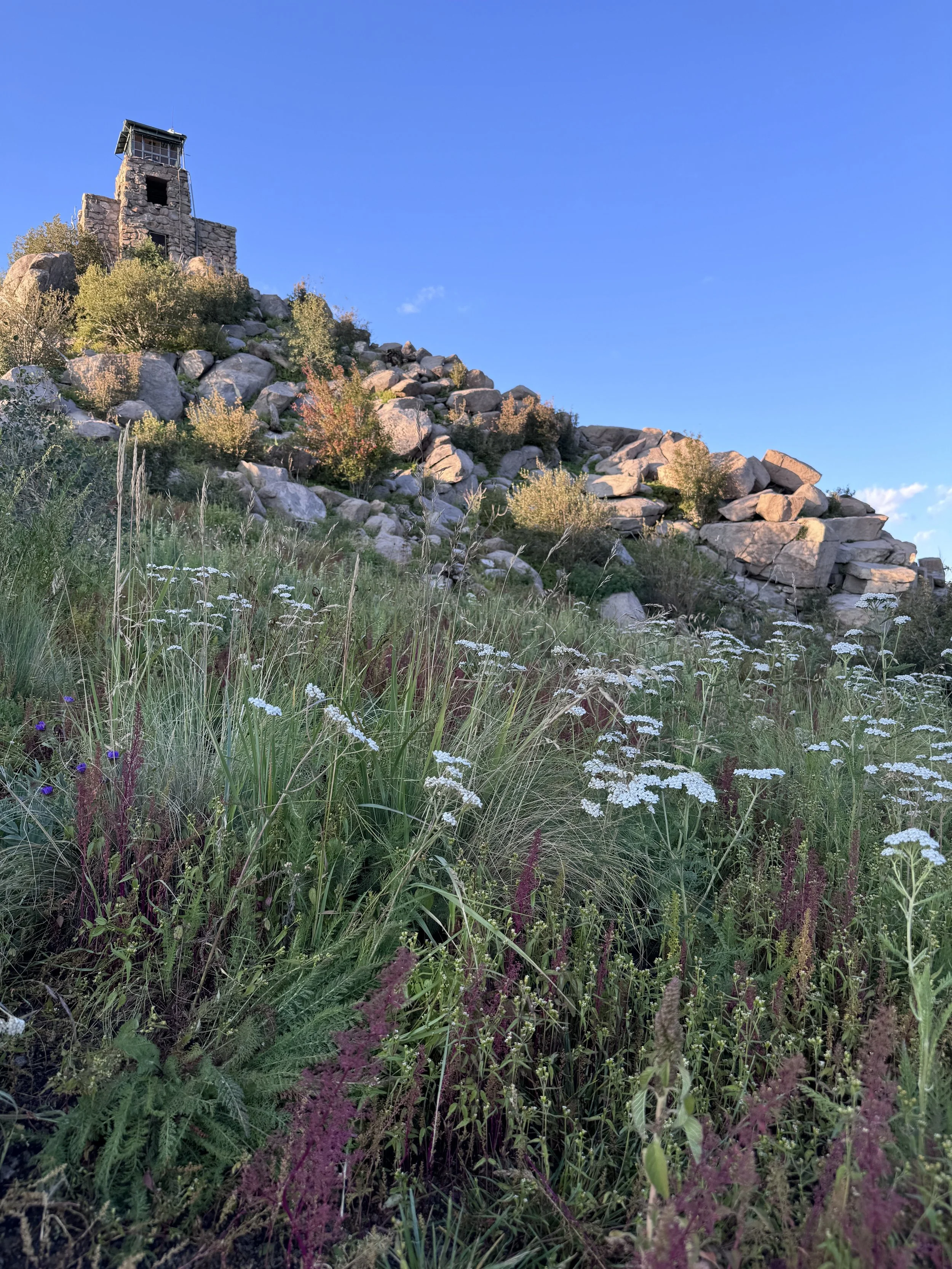 Monjeau Lookout stone fire tower above wildflowers and rocky hillside in Lincoln National Forest near Ruidoso