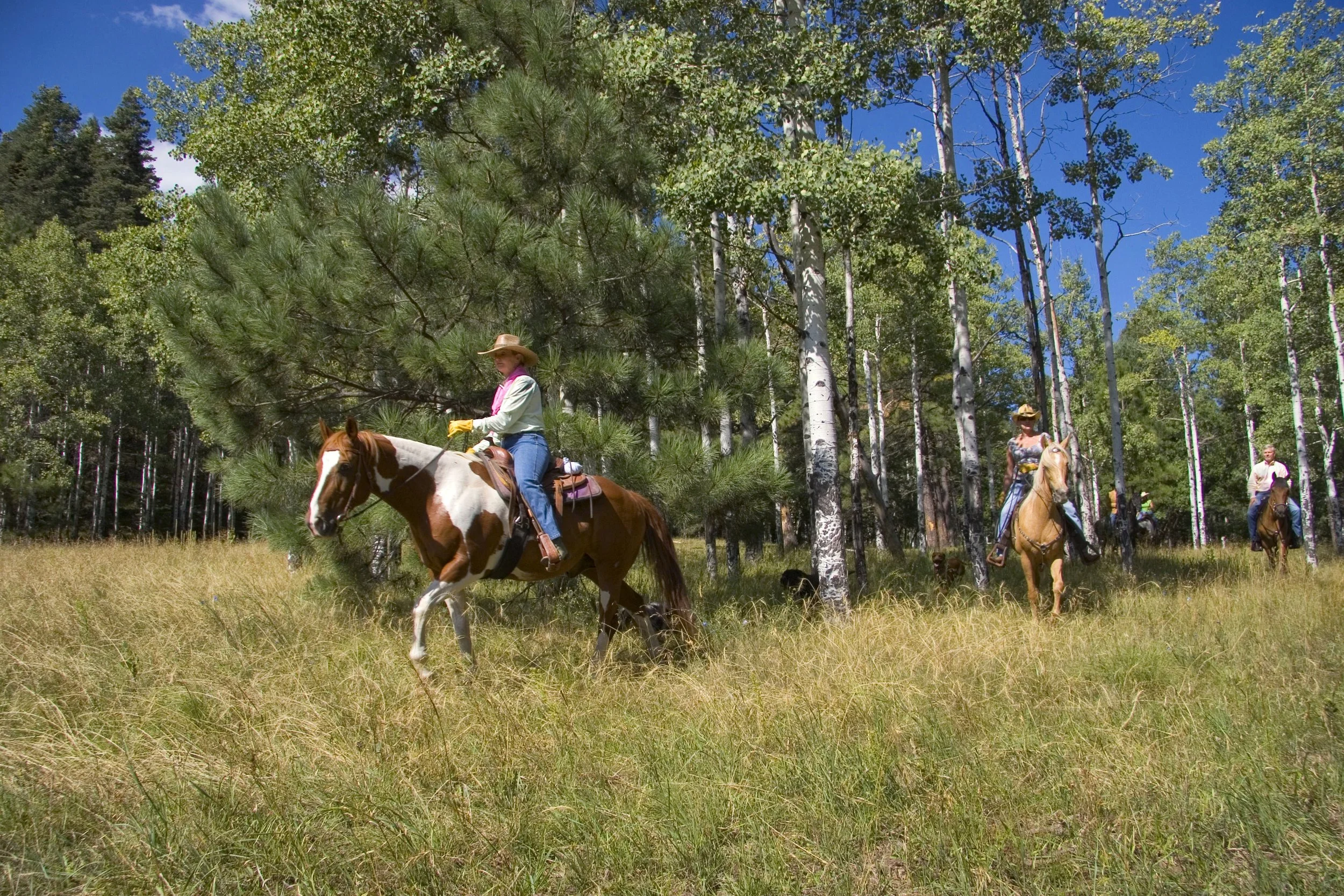 Where To Hike, Bike, and Horseback Ride in Ruidoso — DiscoverRUIDOSO