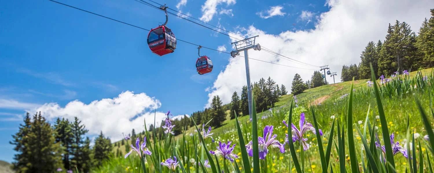 Scenic Gondola Rides at Ski Apache — Travel