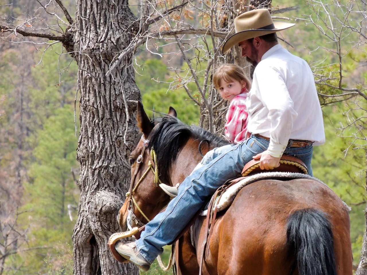 PHOTO: Grindstone Stables