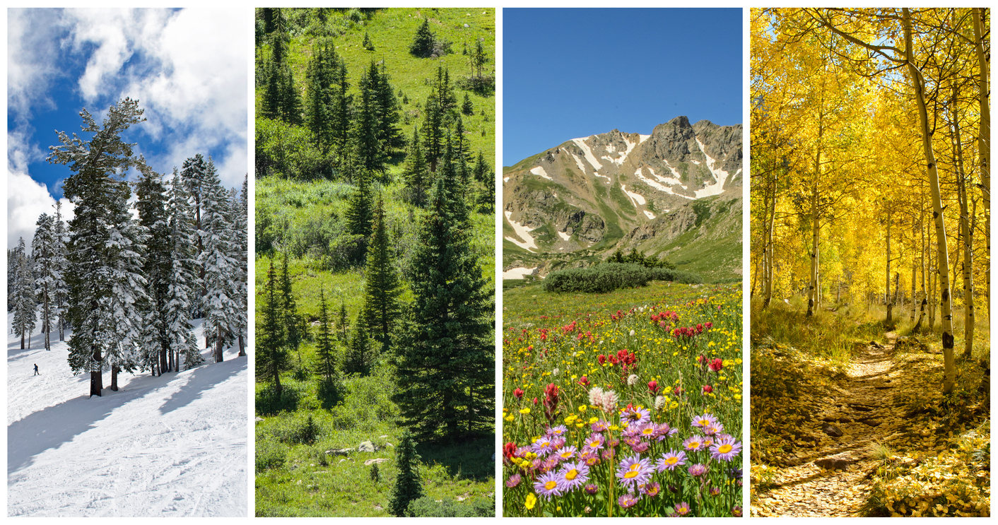 Ruidoso, New Mexico: A vacation destination for all seasons. 