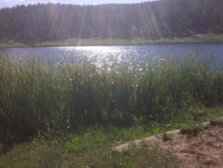 Silver Lake — Travel Information for Ruidoso, New