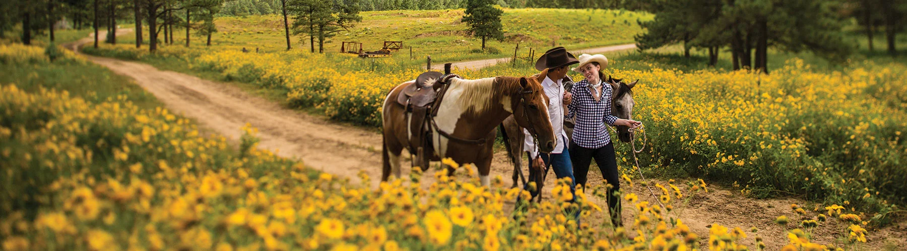 Horseback riding, Inn of the Mountain Gods Resort