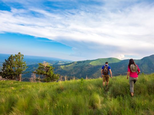 Hike up and ride down free of charge on the Ski Apache gondola.