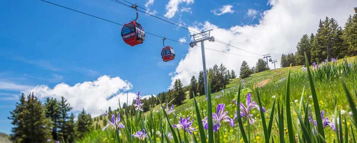 IN THE PRESS: Ruidoso An Under-the-Radar Adventure Playground