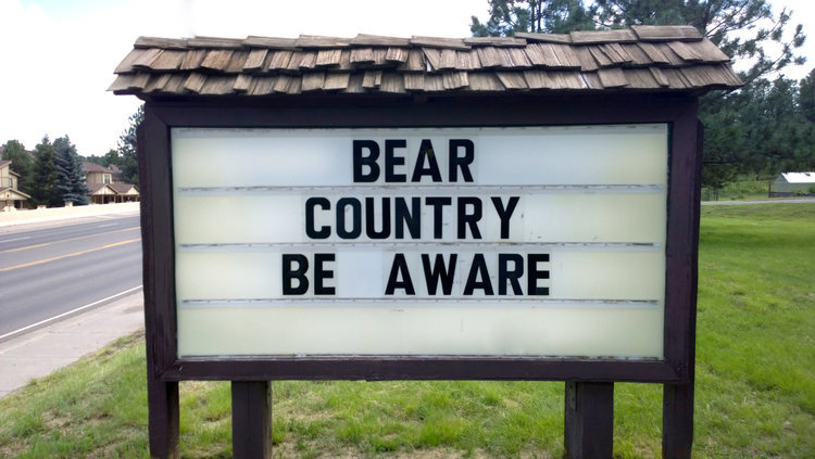 PHOTO: Ruidoso is Bear Country