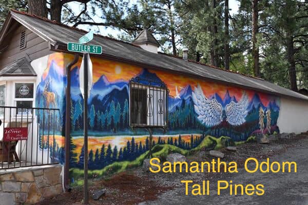 Photo: Mural at Tall Pines Beer &amp; Wine Garden