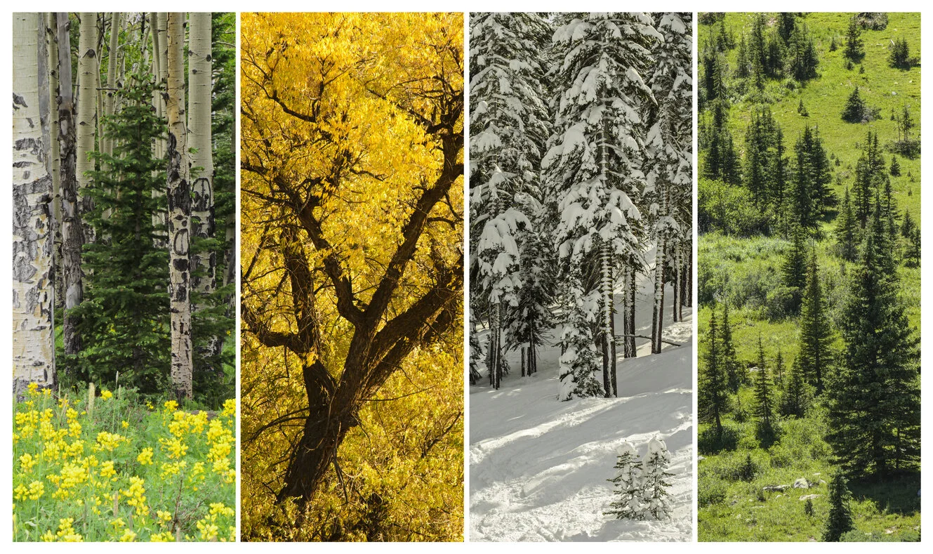 Ruidoso. A Village for All Seasons..jpg